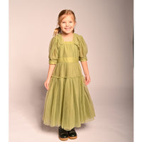 girl wearing green tulle dress with sleeves