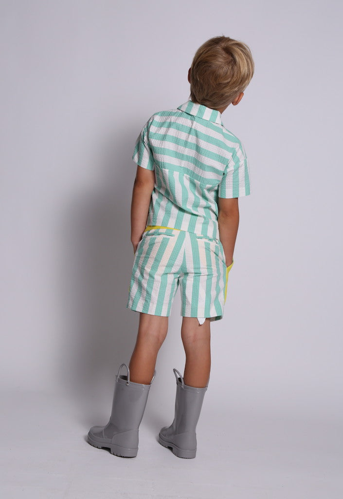 boys, green, stripe, white, polo, shirt, seersucker, short sleeve, snap buttons, yellow detail, model photo
